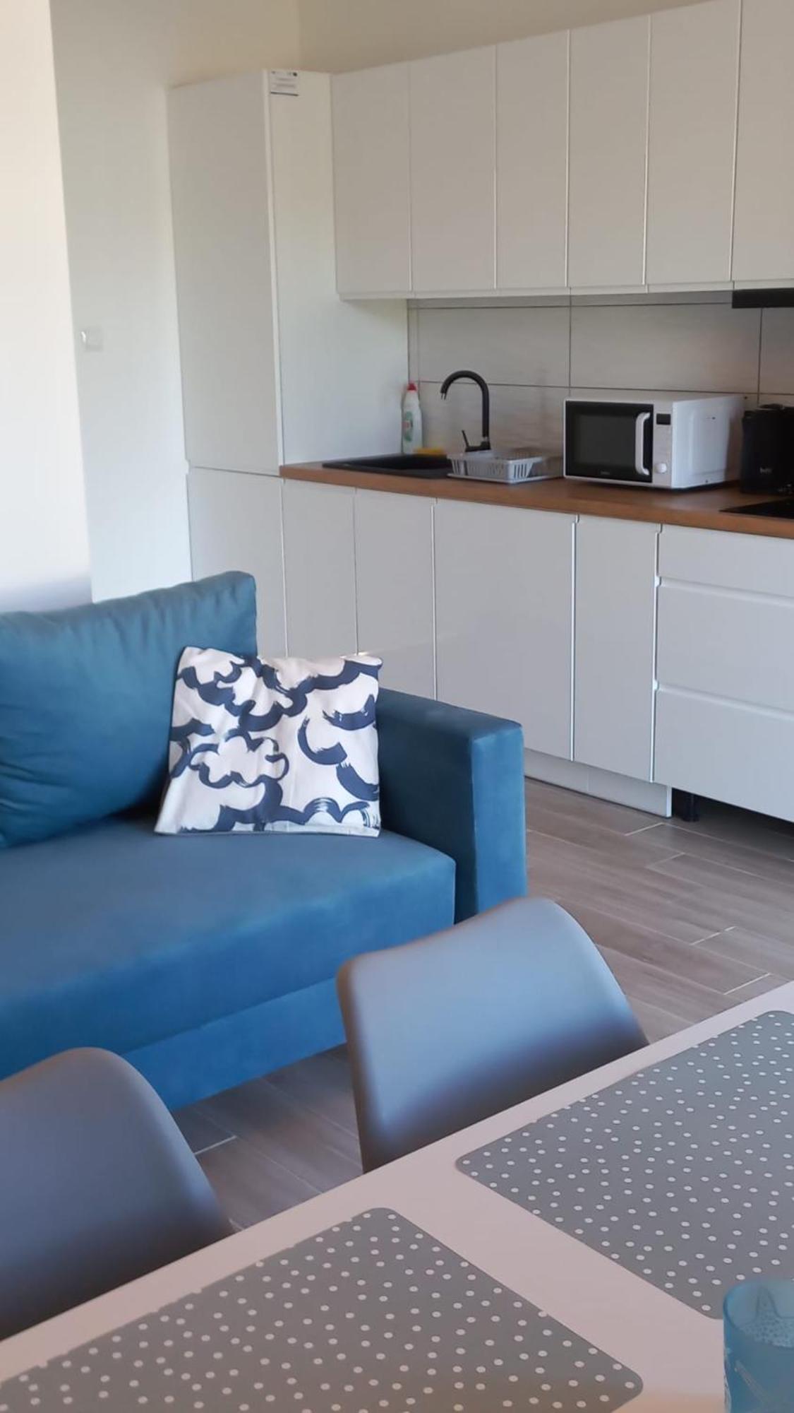 Apartamenty Pod Sosnami ساربينوفو المظهر الخارجي الصورة